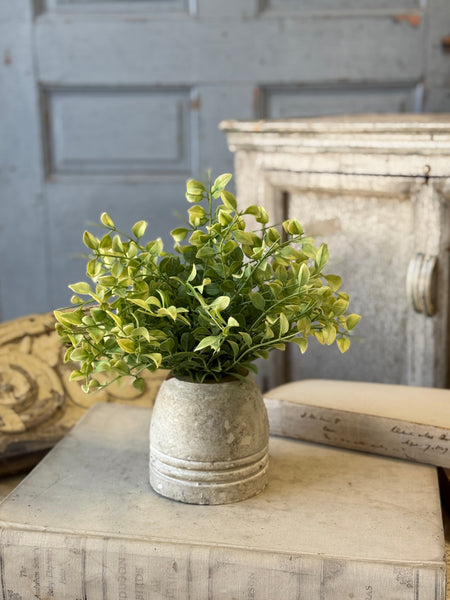 Gallantry Greens Half Sphere | 7.5" | NOT CURRENTLY IN STOCK-New For Spring 2027!