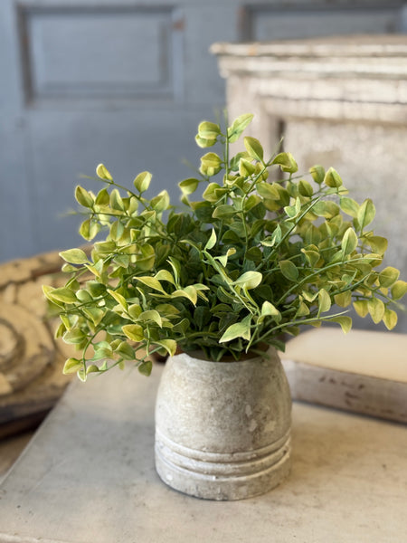 Gallantry Greens Half Sphere | 7.5" | NOT CURRENTLY IN STOCK-New For Spring 2027!