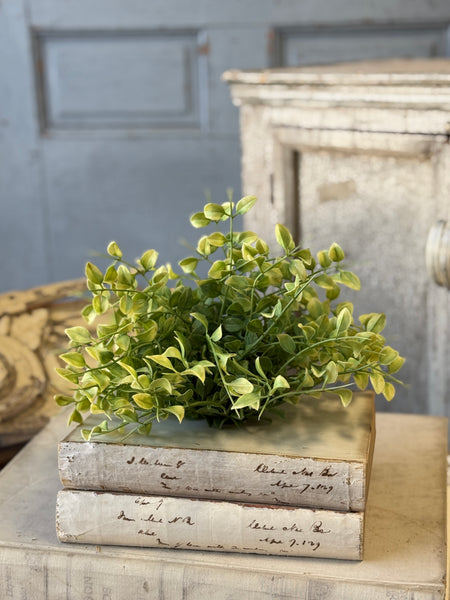 Gallantry Greens Half Sphere | 7.5" | NOT CURRENTLY IN STOCK-New For Spring 2027!