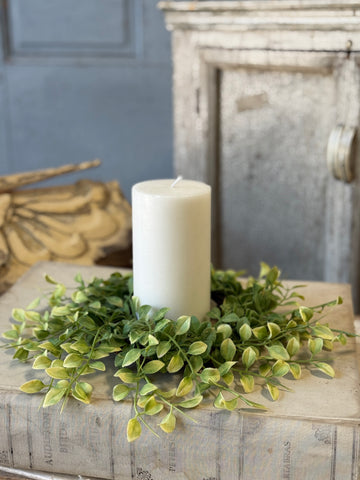 Gallantry Greens Candle Ring | 12" | NOT CURRENTLY IN STOCK-New For Spring 2027!