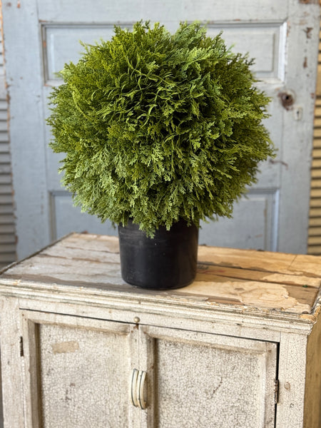 Greendale Cypress (UV Protected) | 19" | NOT CURRENTLY IN STOCK-New For Spring 2027!