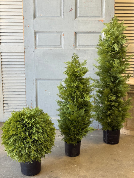 Greendale Cypress (UV Protected ) | 35" | NOT CURRENTLY IN STOCK-New For Spring 2027!