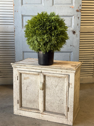Greendale Cypress (UV Protected) | 19" | NOT CURRENTLY IN STOCK-New For Spring 2027!