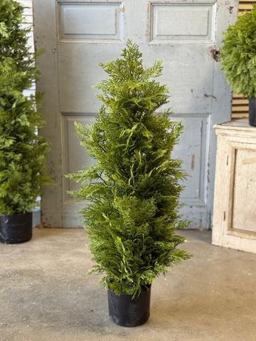 Greendale Cypress (UV Protected ) | 35" | NOT CURRENTLY IN STOCK-New For Spring 2027!