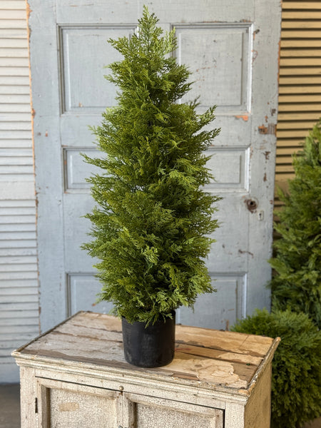 Greendale Cypress (UV Protected ) | 35" | NOT CURRENTLY IN STOCK-New For Spring 2027!