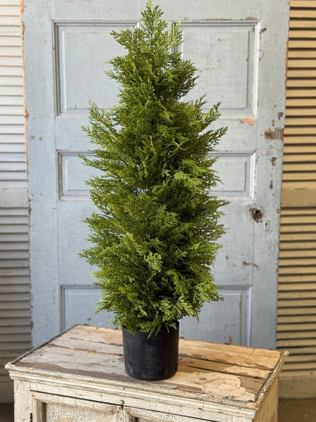 Greendale Cypress (UV Protected ) | 35" | NOT CURRENTLY IN STOCK-New For Spring 2027!