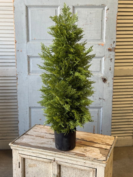 Greendale Cypress (UV Protected ) | 35" | NOT CURRENTLY IN STOCK-New For Spring 2027!