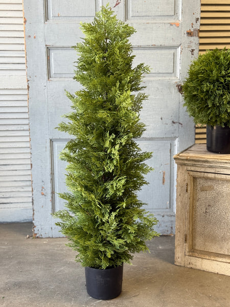 Greendale Cypress (UV Protected) | 48" | NOT CURRENTLY IN STOCK-New For Spring 2027!