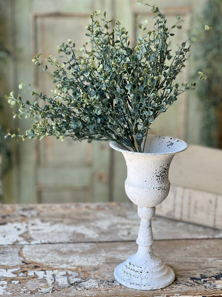 Baby's Twilight Bush | 14"