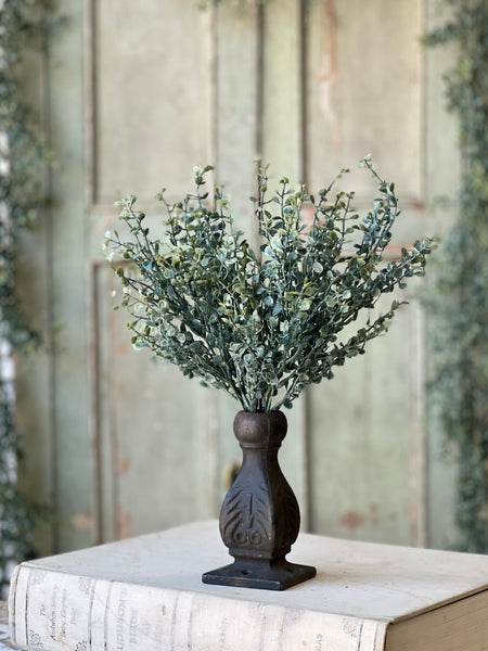 Baby's Twilight Bush | 14"