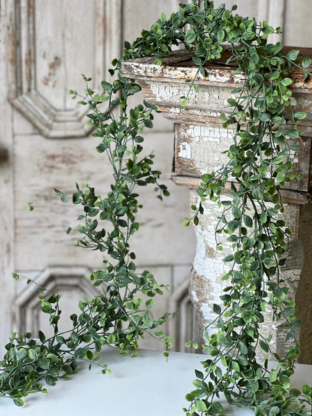 Seraph Vine Garland | 6' | NOT CURRENTLY IN STOCK - Spring 2026 | ETA December