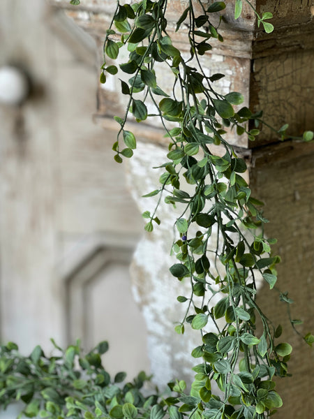 Seraph Vine Garland | 6' | NOT CURRENTLY IN STOCK - Spring 2026 | ETA December
