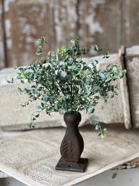 Shively Greens Bush | 13.5"