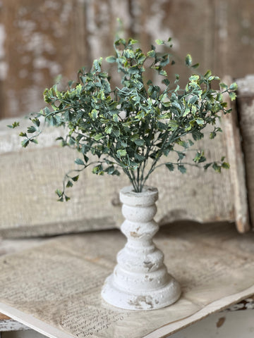 Shively Greens Bush | 13.5"