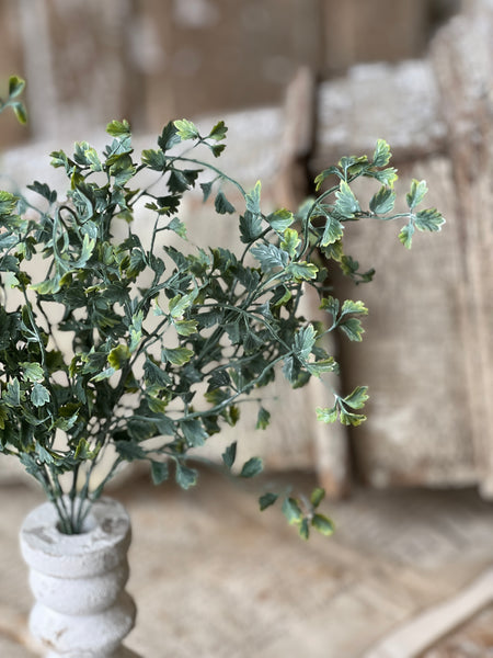 Shively Greens Bush | 13.5"