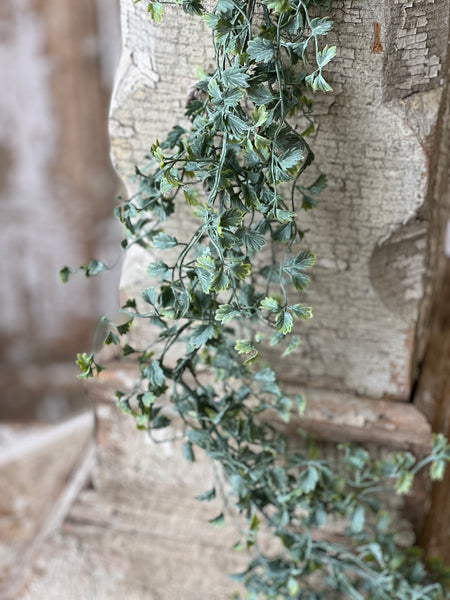 Shively Greens Garland | 6'