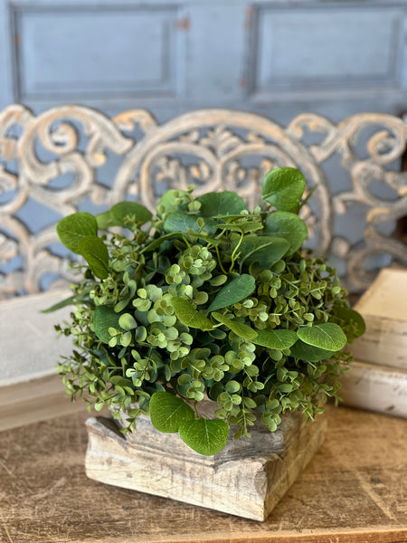 Ashford Eucalyptus Half Sphere | 12" | CASE PACK SPECIAL!  $4.95