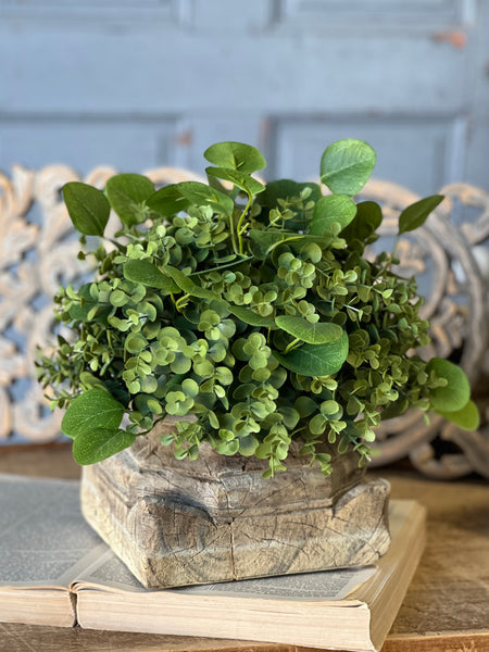 Ashford Eucalyptus Half Sphere | 12" | CASE PACK SPECIAL!  $4.95