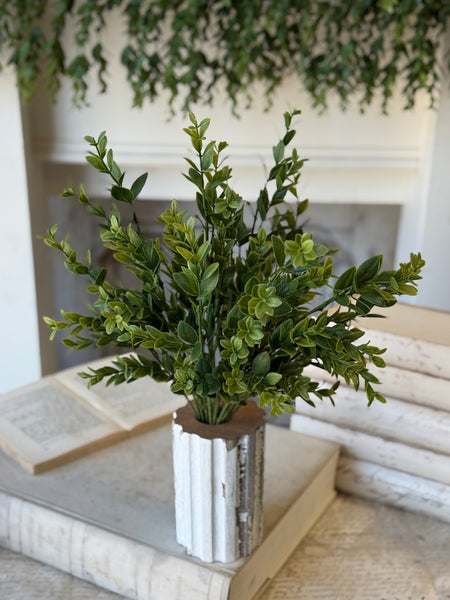 Hathaway Leaves Bush | 18" | NOT CURRENTLY IN STOCK-New For Spring 2027!