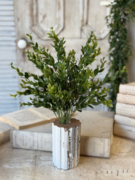 Hathaway Leaves Bush | 18" | NOT CURRENTLY IN STOCK-New For Spring 2027!