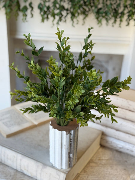 Hathaway Leaves Bush | 18" | NOT CURRENTLY IN STOCK-New For Spring 2027!