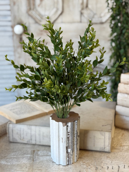 Hathaway Leaves Bush | 18" | NOT CURRENTLY IN STOCK-New For Spring 2027!