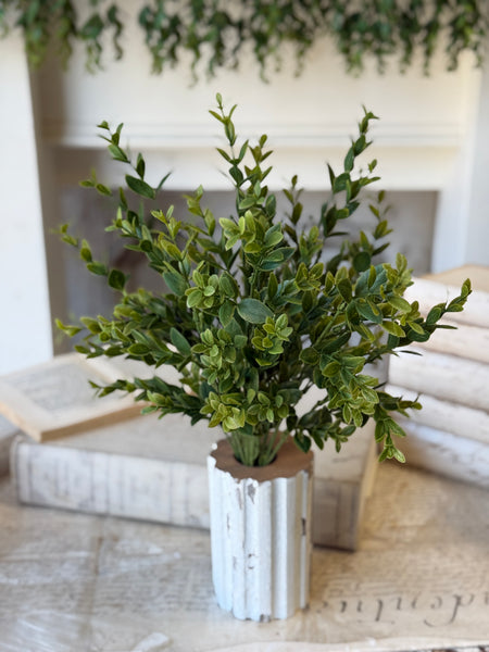 Hathaway Leaves Bush | 18" | NOT CURRENTLY IN STOCK-New For Spring 2027!