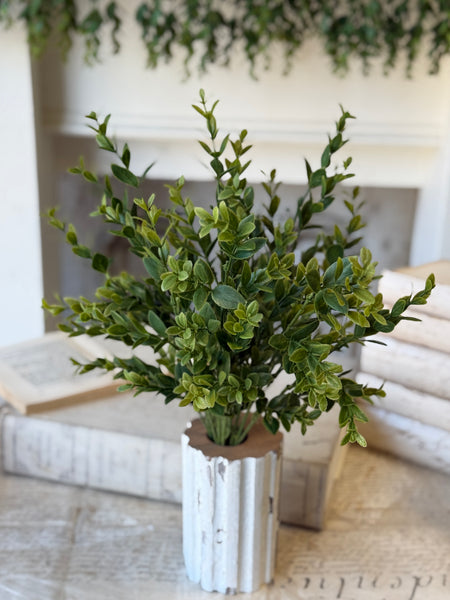 Hathaway Leaves Bush | 18" | NOT CURRENTLY IN STOCK-New For Spring 2027!