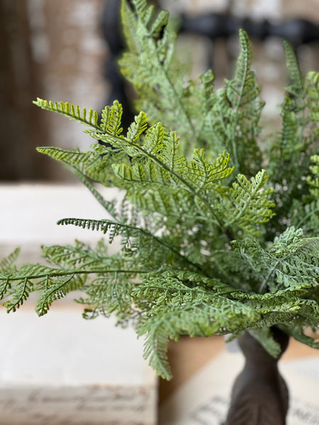 Ruffian Fern Bush | 16" | Lace | NOT CURRENTLY IN STOCK - Spring 2026