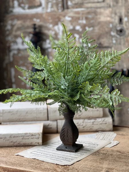 Ruffian Fern Bush | 16" | Lace | NOT CURRENTLY IN STOCK - Spring 2026