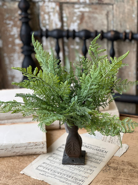 Ruffian Fern Bush | 16" | Lace | NOT CURRENTLY IN STOCK - Spring 2026