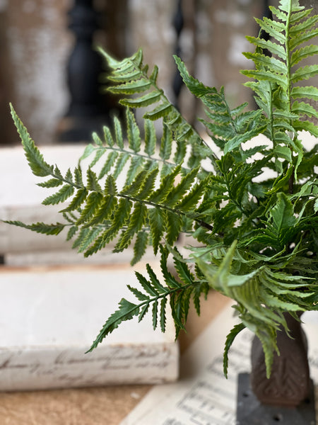 Ruffian Fern Bush | 16” | Shadow | NOT CURRENTLY IN STOCK - Spring 2026