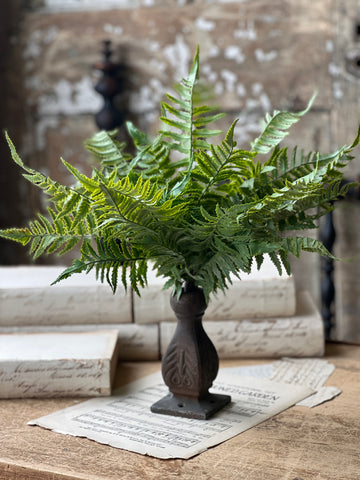 Ruffian Fern Bush | 16” | Shadow | NOT CURRENTLY IN STOCK - Spring 2026