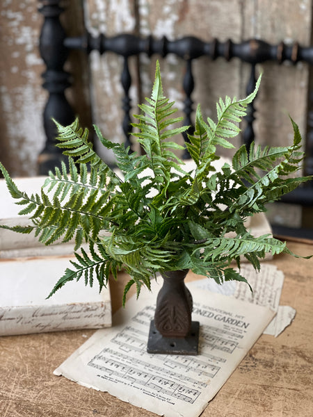 Ruffian Fern Bush | 16” | Shadow | NOT CURRENTLY IN STOCK - Spring 2026
