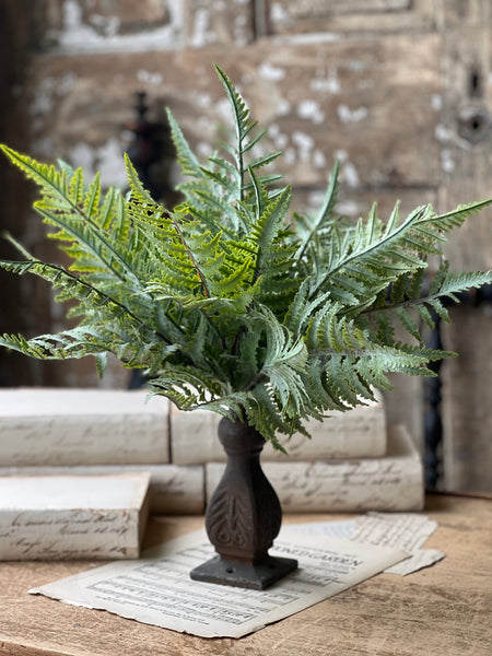 Ruffian Fern Bush | 16" | Boston | NOT CURRENTLY IN STOCK - Spring 2026
