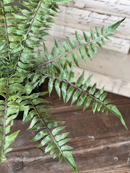 Geneva Potted Fern | 19" | Shade | NOT CURRENTLY IN STOCK - Spring 2026