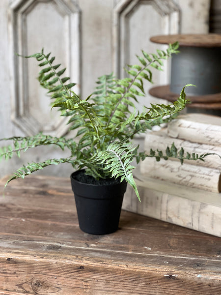 Geneva Potted Fern | 19" | Shade | NOT CURRENTLY IN STOCK - Spring 2026