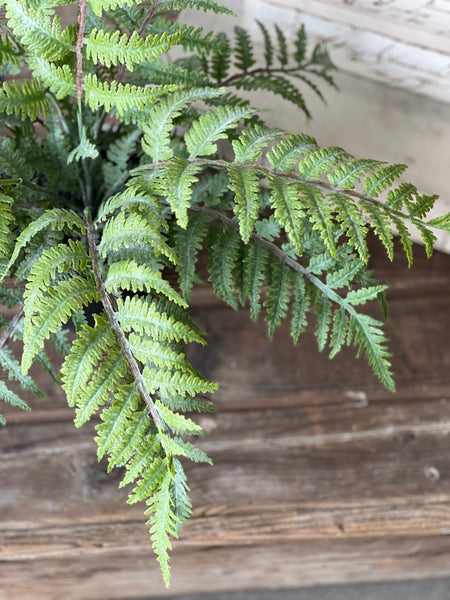 Geneva Potted Fern | 19" | Bedford | NOT CURRENTLY IN STOCK - Spring 2026