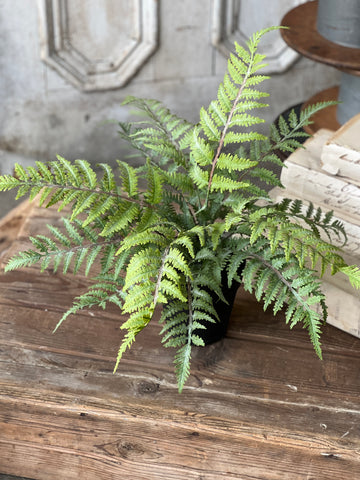 Geneva Potted Fern | 19" | Bedford | NOT CURRENTLY IN STOCK - Spring 2026