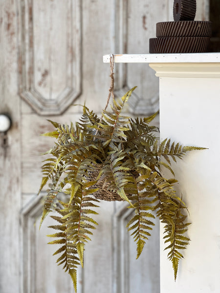 Valor Fern Hanging Basket | 18" | Olive