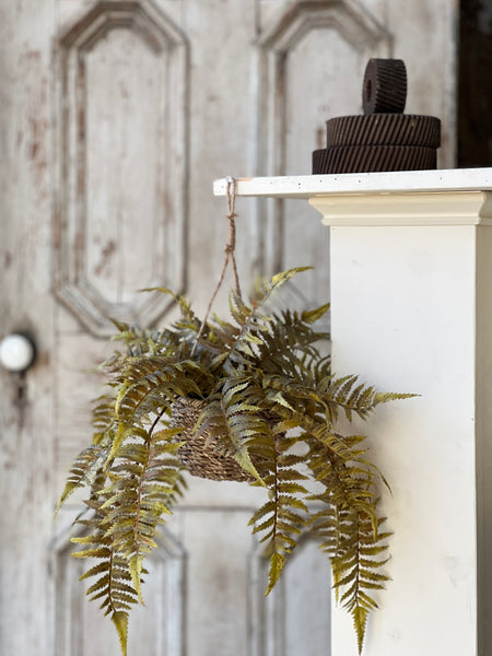 Valor Fern Hanging Basket | 18" | Olive