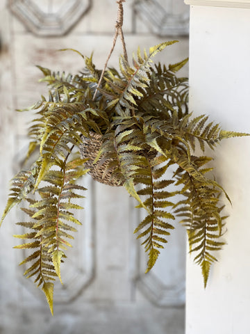 Valor Fern Hanging Basket | 18" | Olive