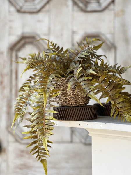 Valor Fern Hanging Basket | 18" | Olive