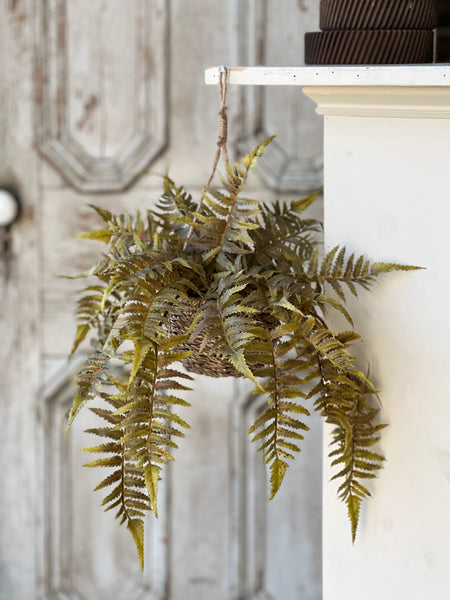Valor Fern Hanging Basket | 18" | Olive
