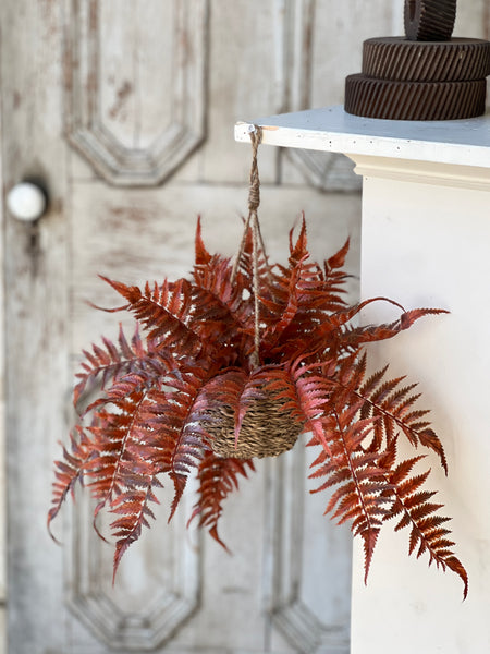 Valor Fern Hanging Basket | 18" | Rust