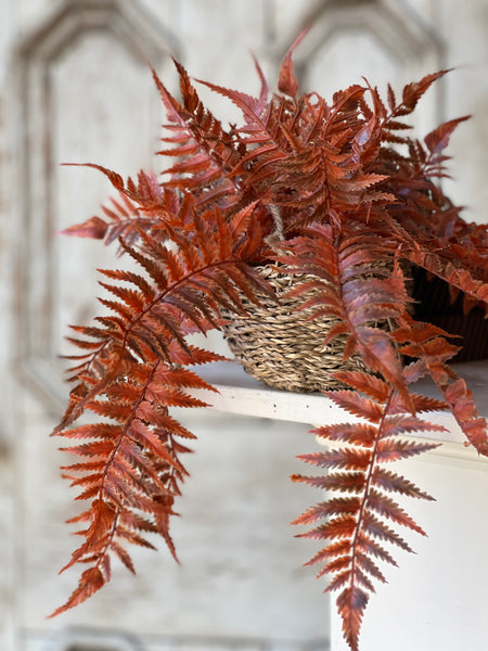 Valor Fern Hanging Basket | 18" | Rust