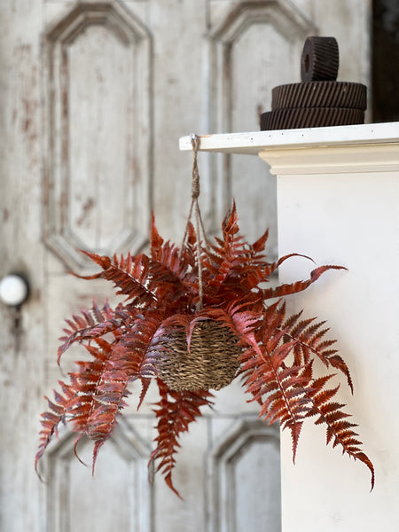 Valor Fern Hanging Basket | 18" | Rust