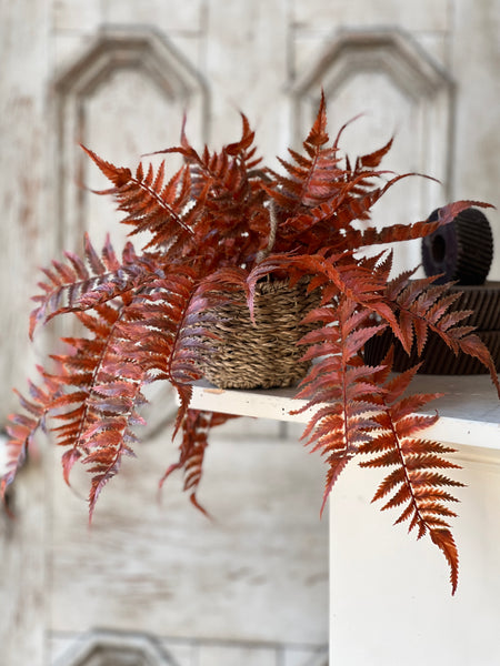 Valor Fern Hanging Basket | 18" | Rust