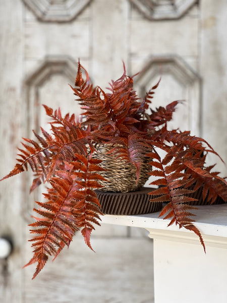 Valor Fern Hanging Basket | 18" | Rust