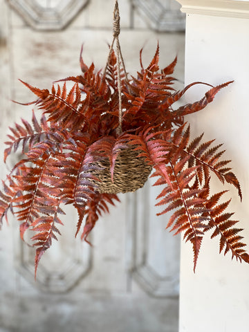 Valor Fern Hanging Basket | 18" | Rust